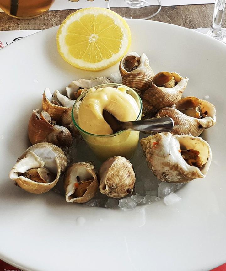 Plats faits maison Wimereux